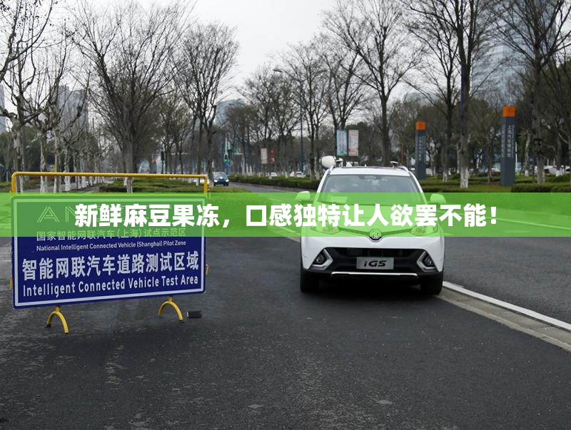 新鲜麻豆果冻，口感独特让人欲罢不能！