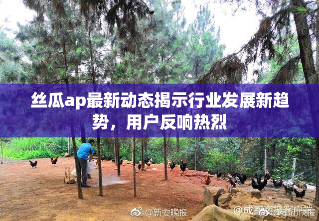 丝瓜ap最新动态揭示行业发展新趋势，用户反响热烈