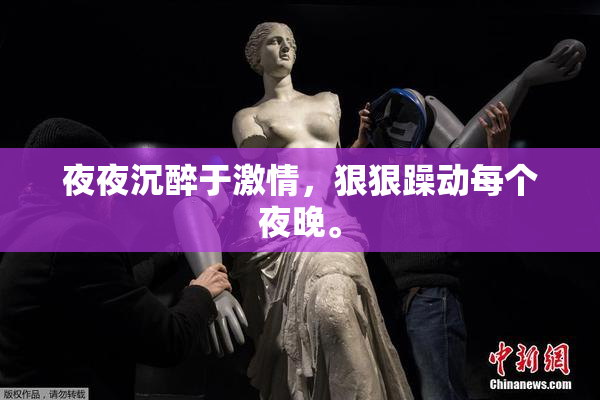 夜夜沉醉于激情，狠狠躁动每个夜晚。