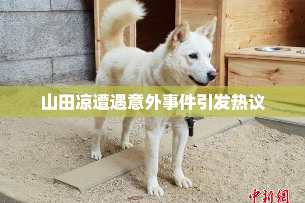 山田凉遭遇意外事件引发热议