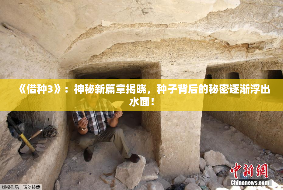 《借种3》：神秘新篇章揭晓，种子背后的秘密逐渐浮出水面！