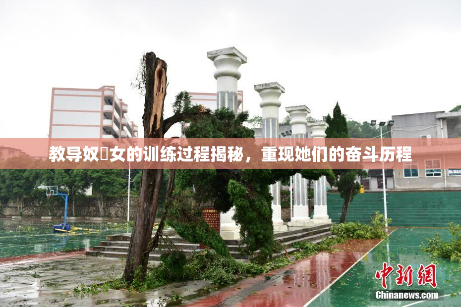 教导奴隸女的训练过程揭秘，重现她们的奋斗历程