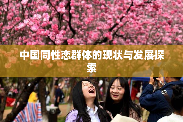 中国同性恋群体的现状与发展探索