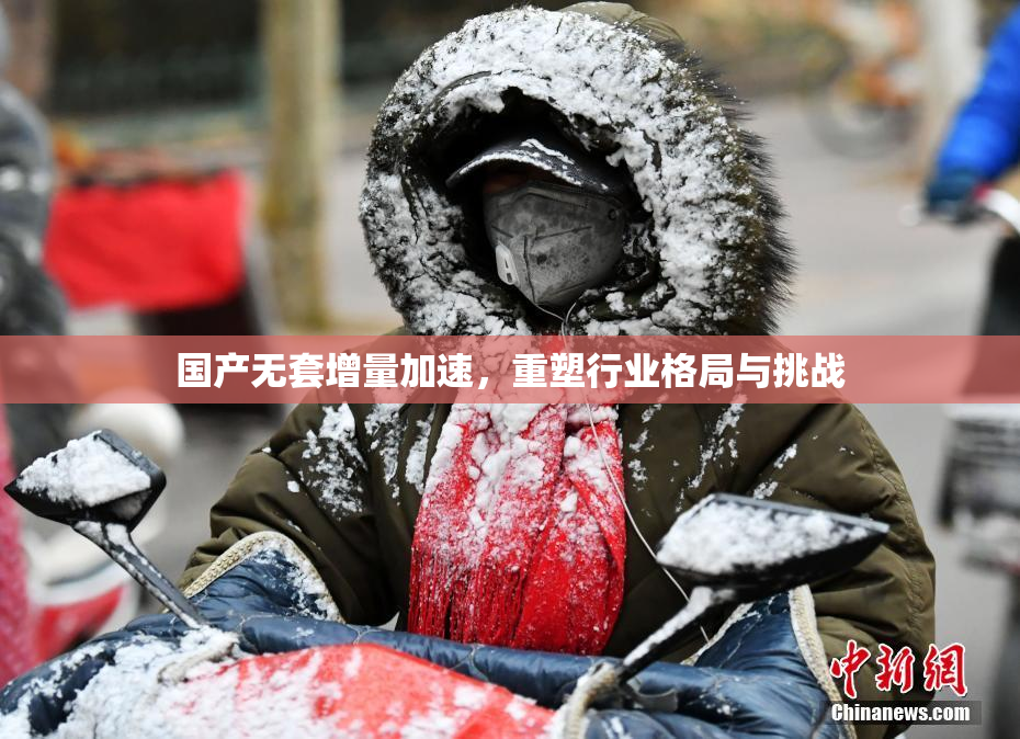 国产无套增量加速，重塑行业格局与挑战