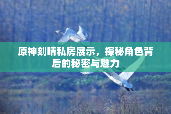 原神刻晴私房展示，探秘角色背后的秘密与魅力