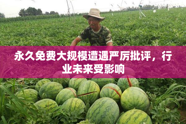 永久免费大规模遭遇严厉批评，行业未来受影响