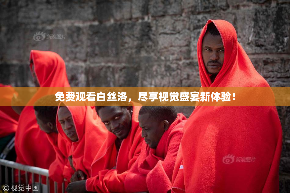 免费观看白丝洛，尽享视觉盛宴新体验！