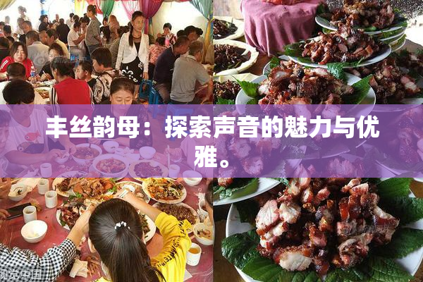 丰丝韵母：探索声音的魅力与优雅。