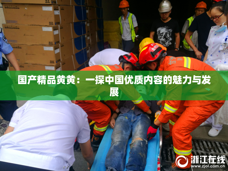 国产精品黄黄：一探中国优质内容的魅力与发展
