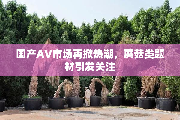 国产AV市场再掀热潮，蘑菇类题材引发关注