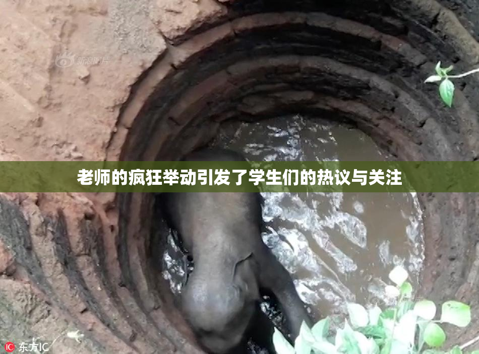 老师的疯狂举动引发了学生们的热议与关注
