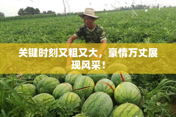 关键时刻又粗又大，豪情万丈展现风采！