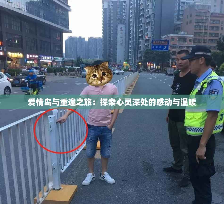 爱情岛与重逢之旅：探索心灵深处的感动与温暖