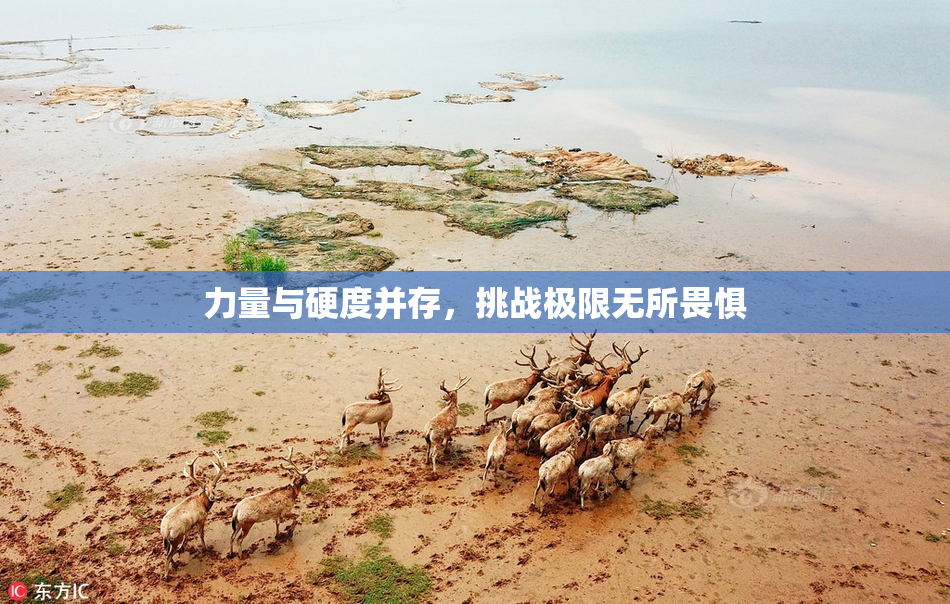 力量与硬度并存，挑战极限无所畏惧