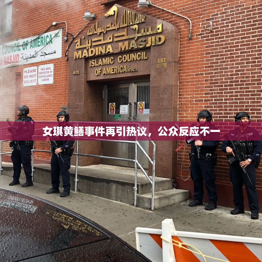 女琪黄鳝事件再引热议，公众反应不一