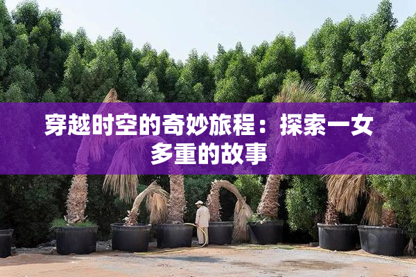穿越时空的奇妙旅程：探索一女多重的故事