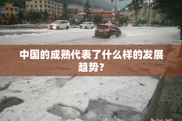 中国的成熟代表了什么样的发展趋势？