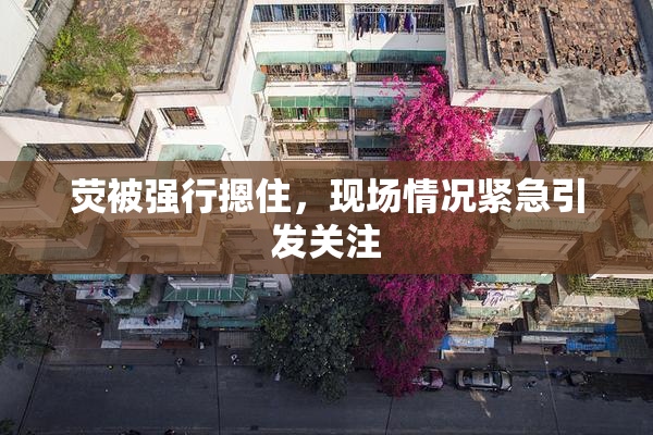 荧被强行摁住，现场情况紧急引发关注