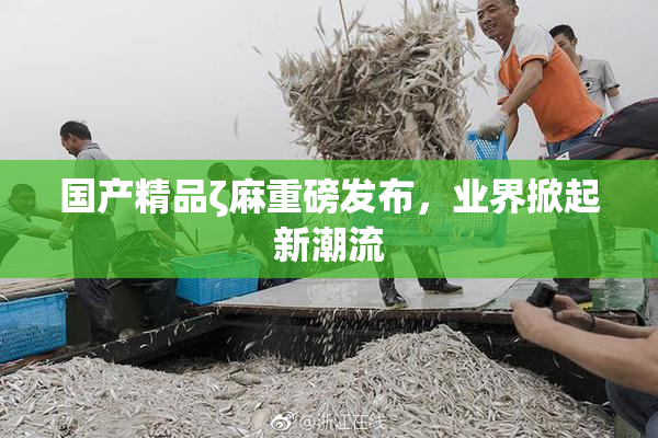 国产精品ζ麻重磅发布，业界掀起新潮流