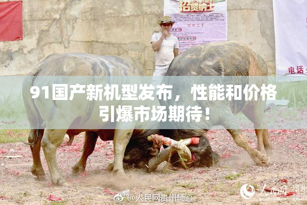 91国产新机型发布，性能和价格引爆市场期待！