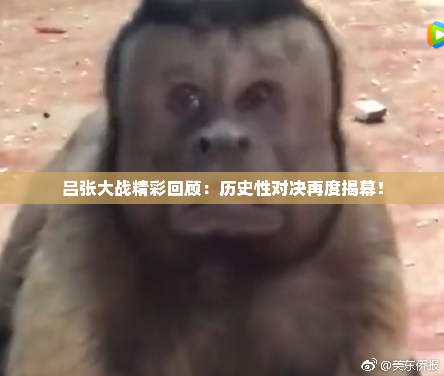 吕张大战精彩回顾：历史性对决再度揭幕！