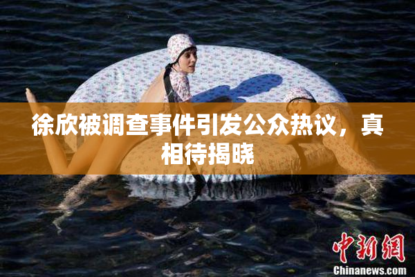 徐欣被调查事件引发公众热议，真相待揭晓