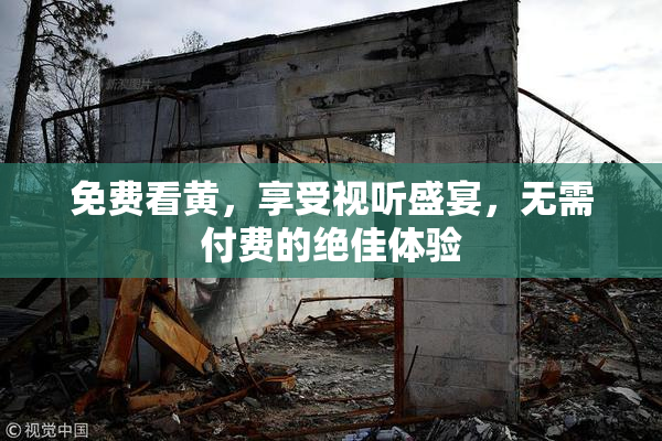 免费看黄，享受视听盛宴，无需付费的绝佳体验