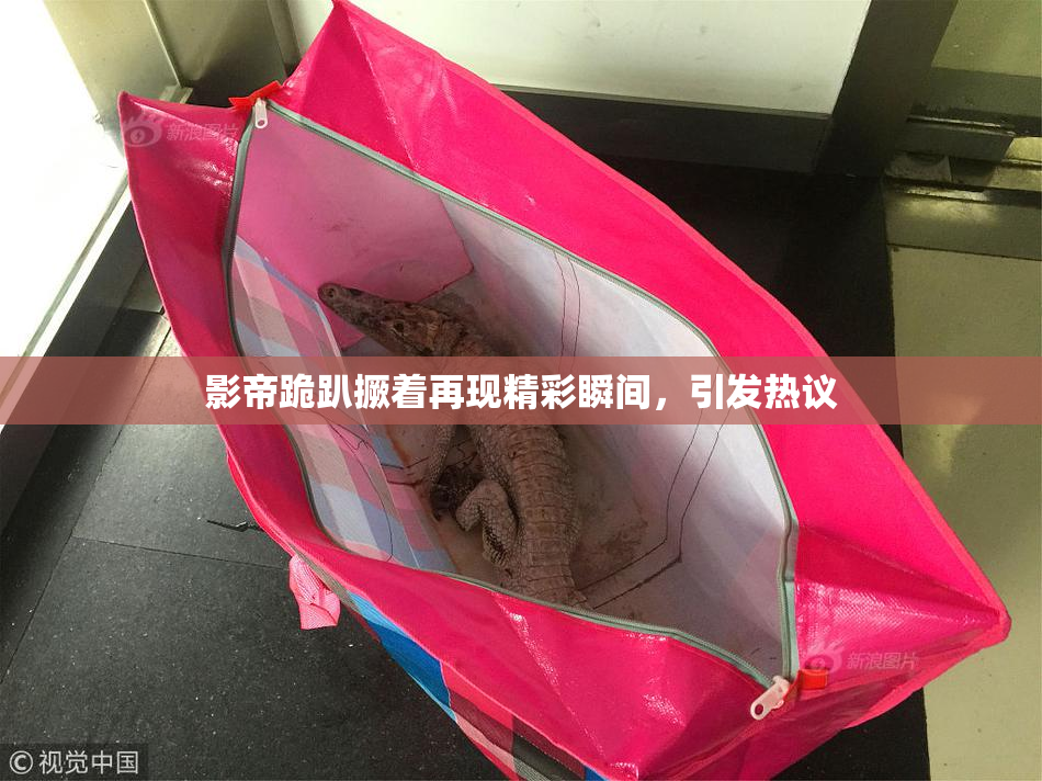 影帝跪趴撅着再现精彩瞬间，引发热议