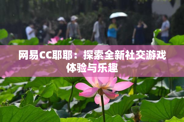 网易CC耶耶：探索全新社交游戏体验与乐趣