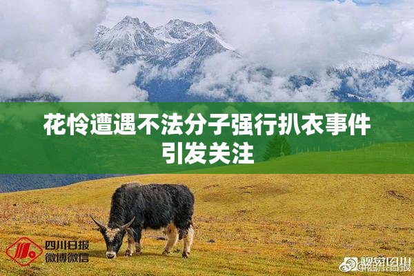 花怜遭遇不法分子强行扒衣事件引发关注