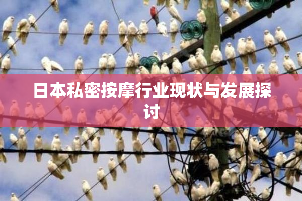 日本私密按摩行业现状与发展探讨