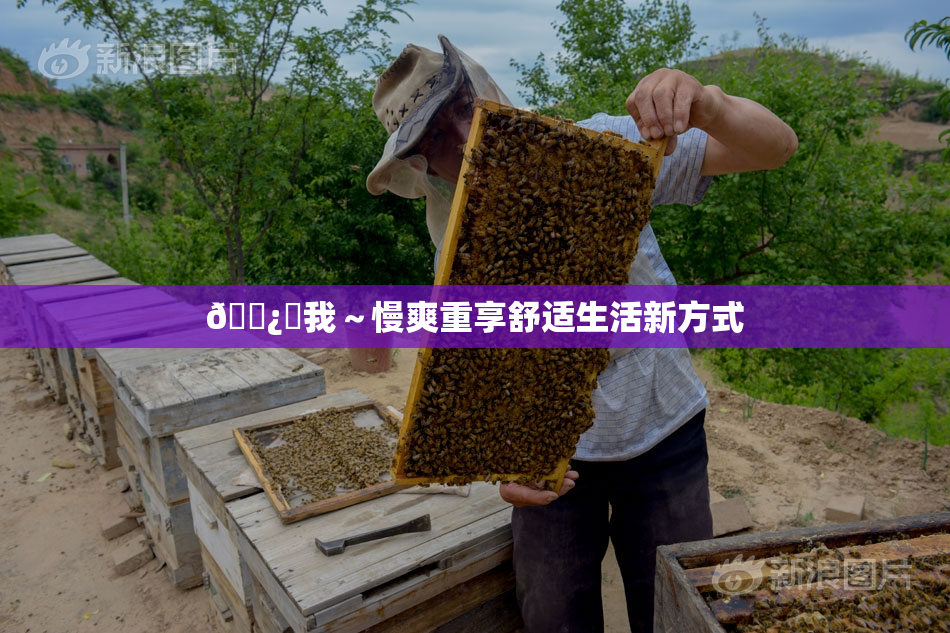 🌿‌我～慢爽重享舒适生活新方式