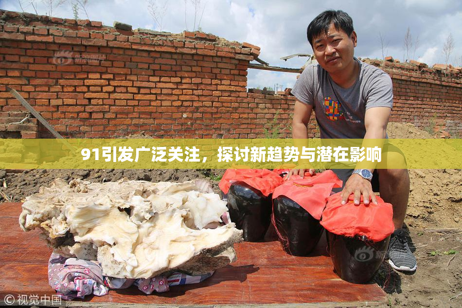 91引发广泛关注，探讨新趋势与潜在影响