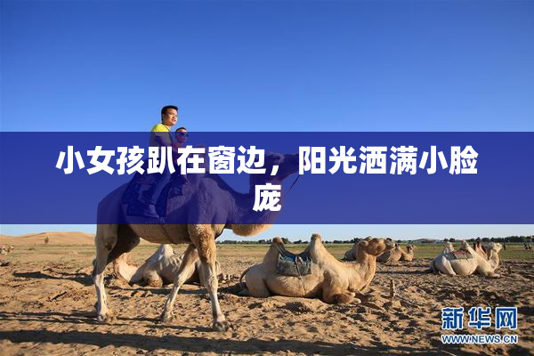 小女孩趴在窗边，阳光洒满小脸庞