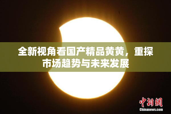 全新视角看国产精品黄黄，重探市场趋势与未来发展