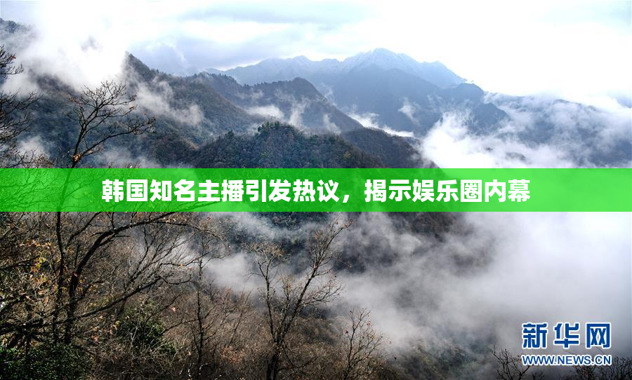 韩国知名主播引发热议，揭示娱乐圈内幕