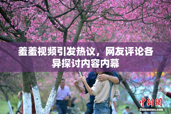 羞羞视频引发热议，网友评论各异探讨内容内幕