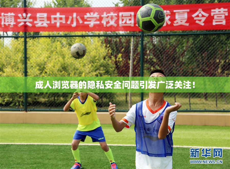 成人浏览器的隐私安全问题引发广泛关注！