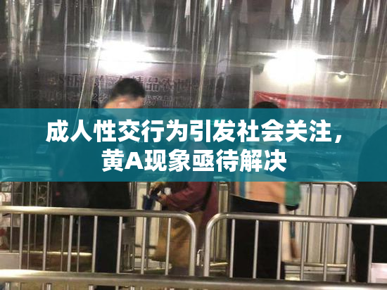 成人性交行为引发社会关注，黄A现象亟待解决