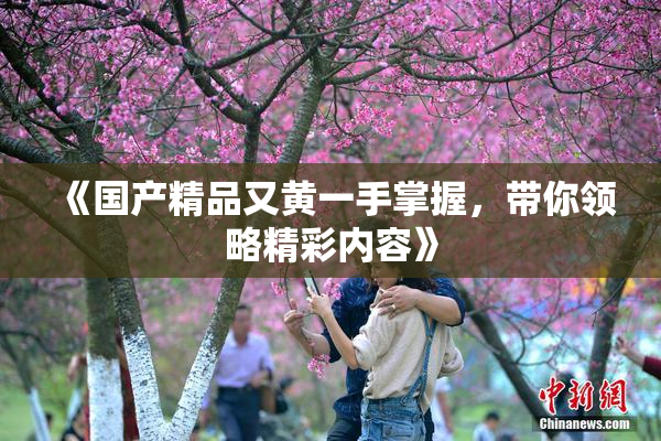 《国产精品又黄一手掌握，带你领略精彩内容》
