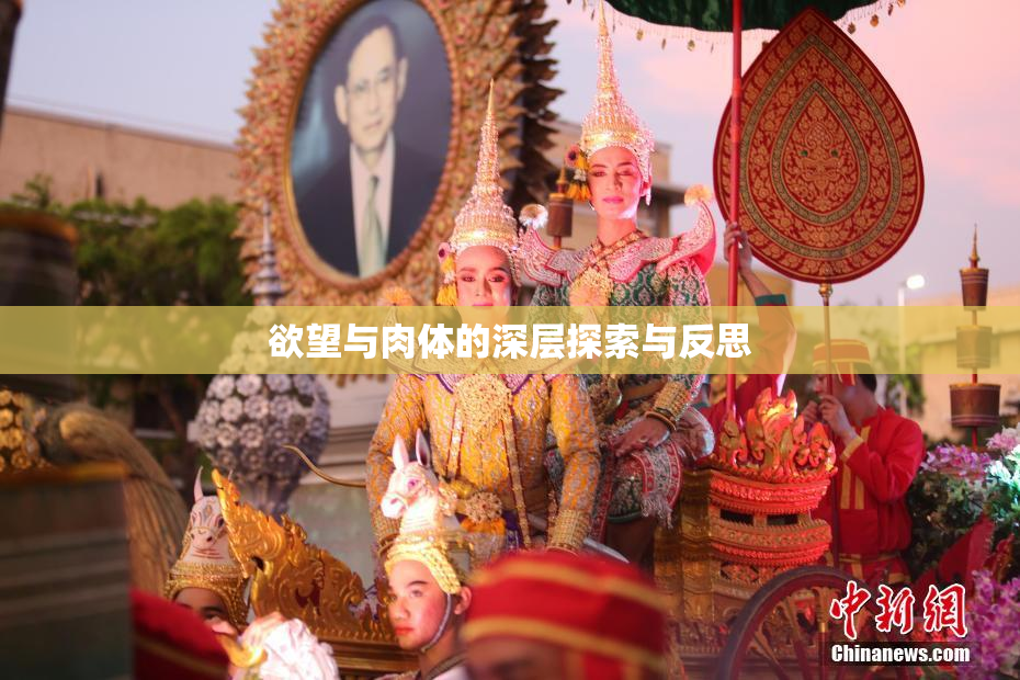 欲望与肉体的深层探索与反思