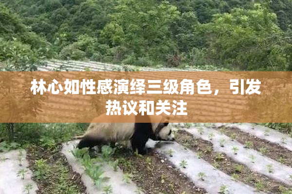 林心如性感演绎三级角色，引发热议和关注