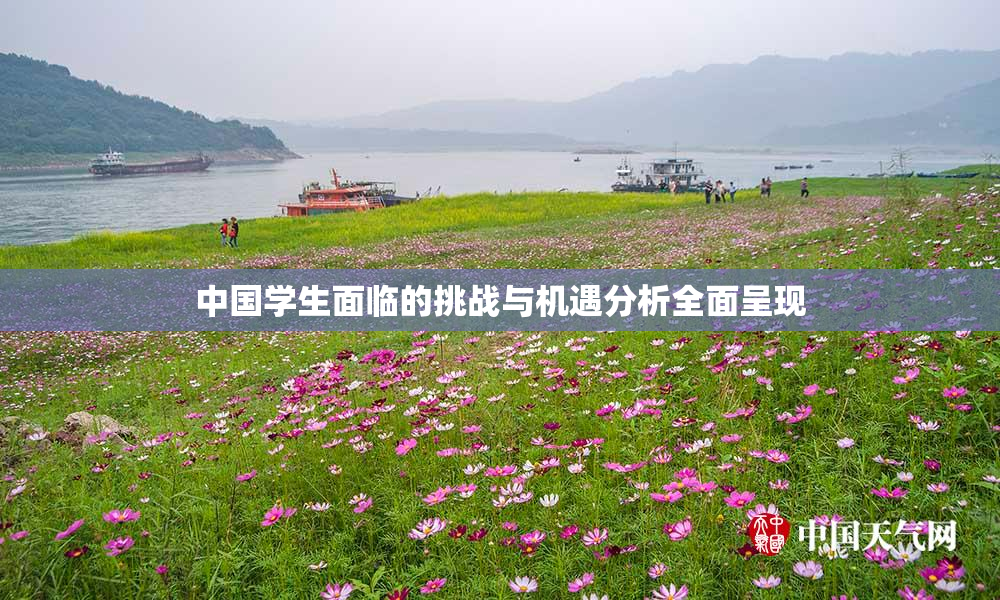 中国学生面临的挑战与机遇分析全面呈现