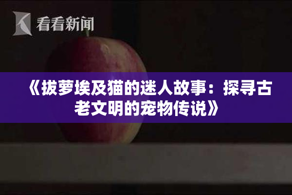 《拔萝埃及猫的迷人故事：探寻古老文明的宠物传说》