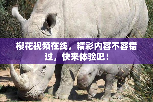 樱花视频在线，精彩内容不容错过，快来体验吧！
