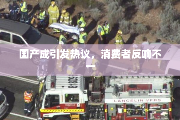 国产成引发热议，消费者反响不一