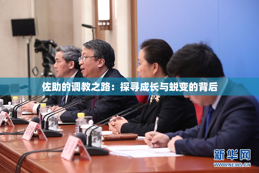 佐助的调教之路：探寻成长与蜕变的背后
