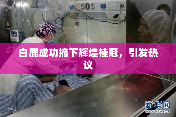 白鹿成功摘下辉煌桂冠，引发热议