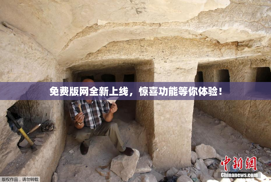 免费版网全新上线，惊喜功能等你体验！