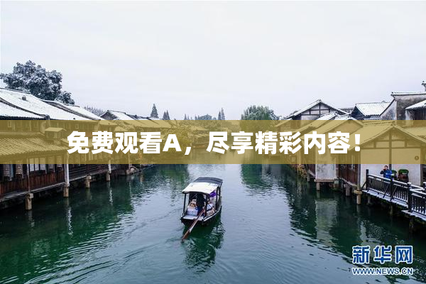免费观看A，尽享精彩内容！